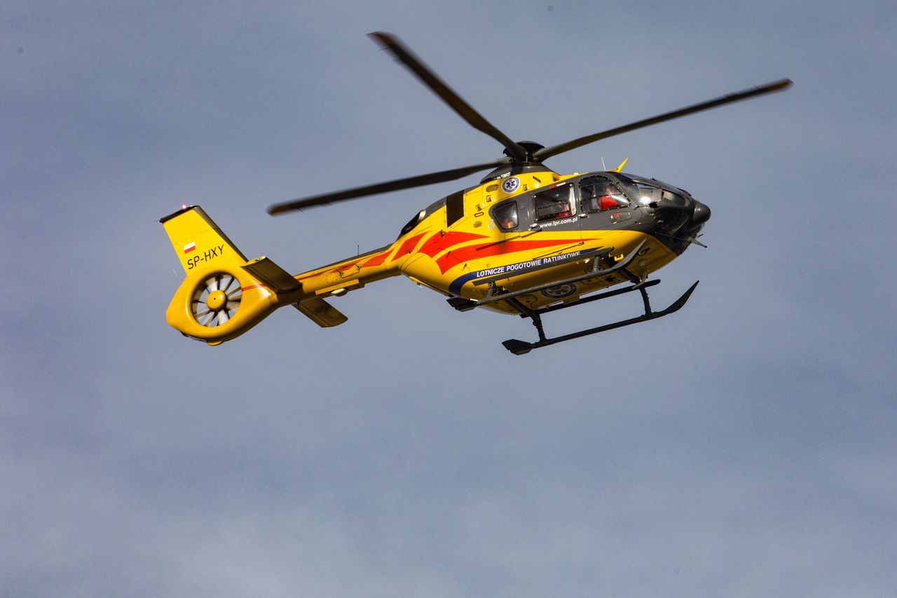 Wypadek przy wycince drzew. Nie żyje mężczyzna