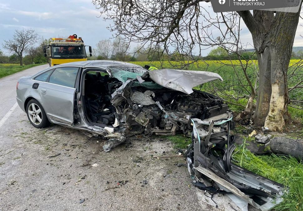 Audi uderzyło w drzewo, nie żyje pasażerka. Kierowca był pijany