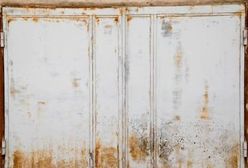 Podatek za blaszany garaż? To wkrótce może okazać się możliwe