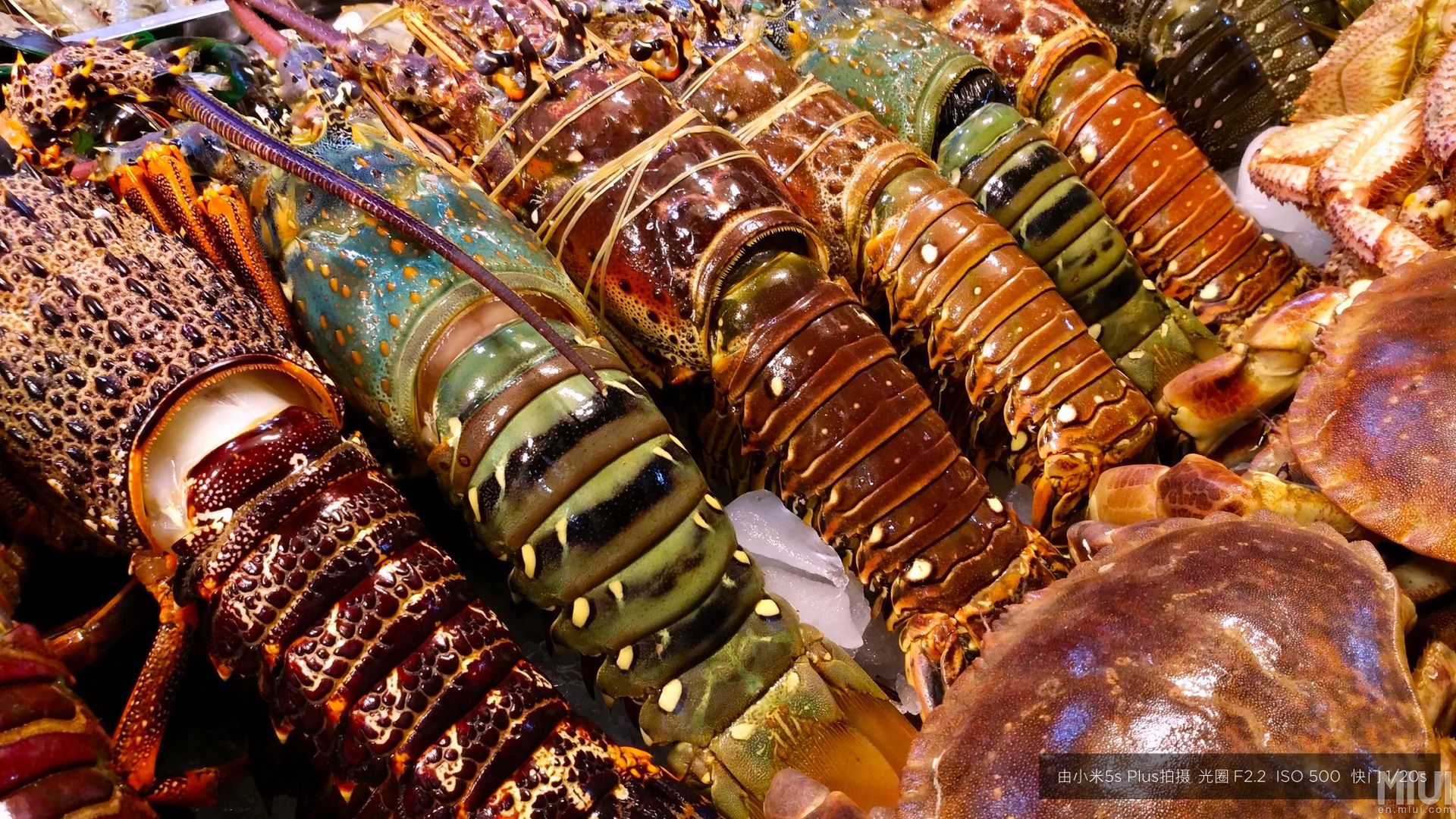 Xiaomi Mi 5s i 5s Plus oficjalnie. Snapdragon 821, ultradźwiękowy skaner i podwójny aparat 16