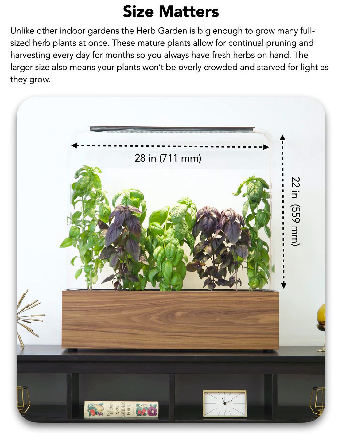 Herb Garden od GardenByte. Inteligentny ogródek w twoim domu 3