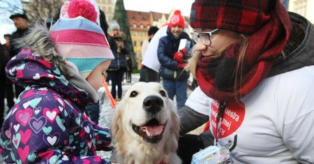 Rekord WOŚP dzięki PiS. Polacy wrzucili do puszek pieniądze z 500+?