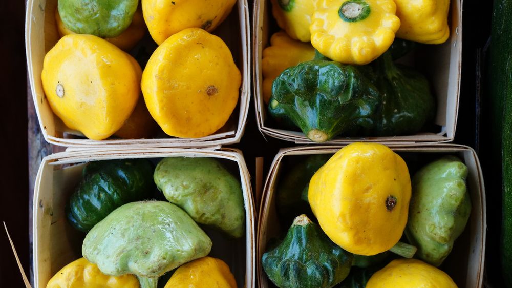 Kabaczek – charakterystyka, właściwości, potrawy