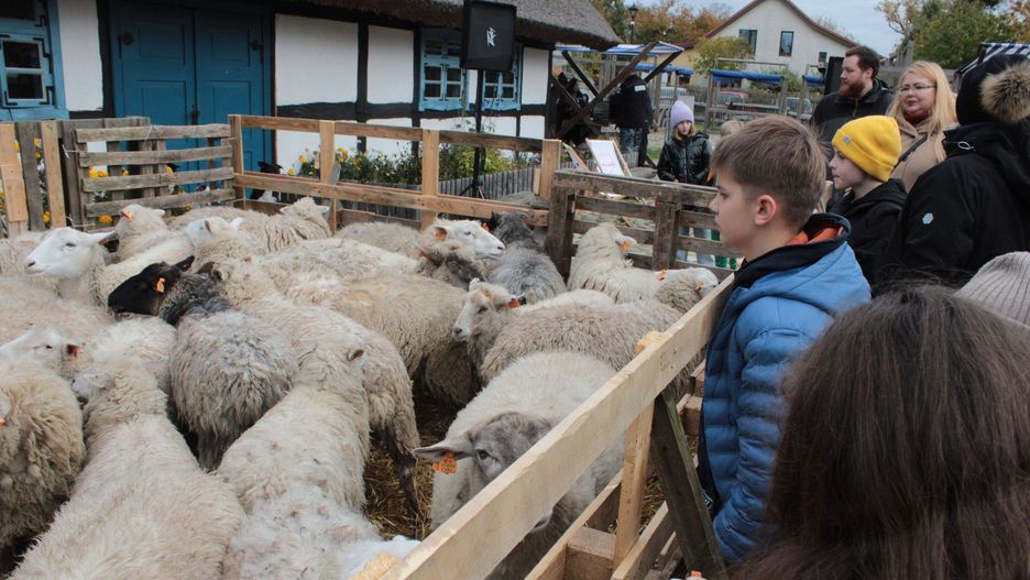 III Jamneńskie Zakończenie Sezonu Pasterskiego