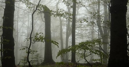 To najdłużej powstający park narodowy w Polsce. Jest poparcie