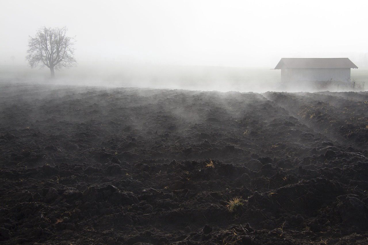 Pogoda na koniec września. Synoptycy z IMGW już wiedzą. Będą mgły