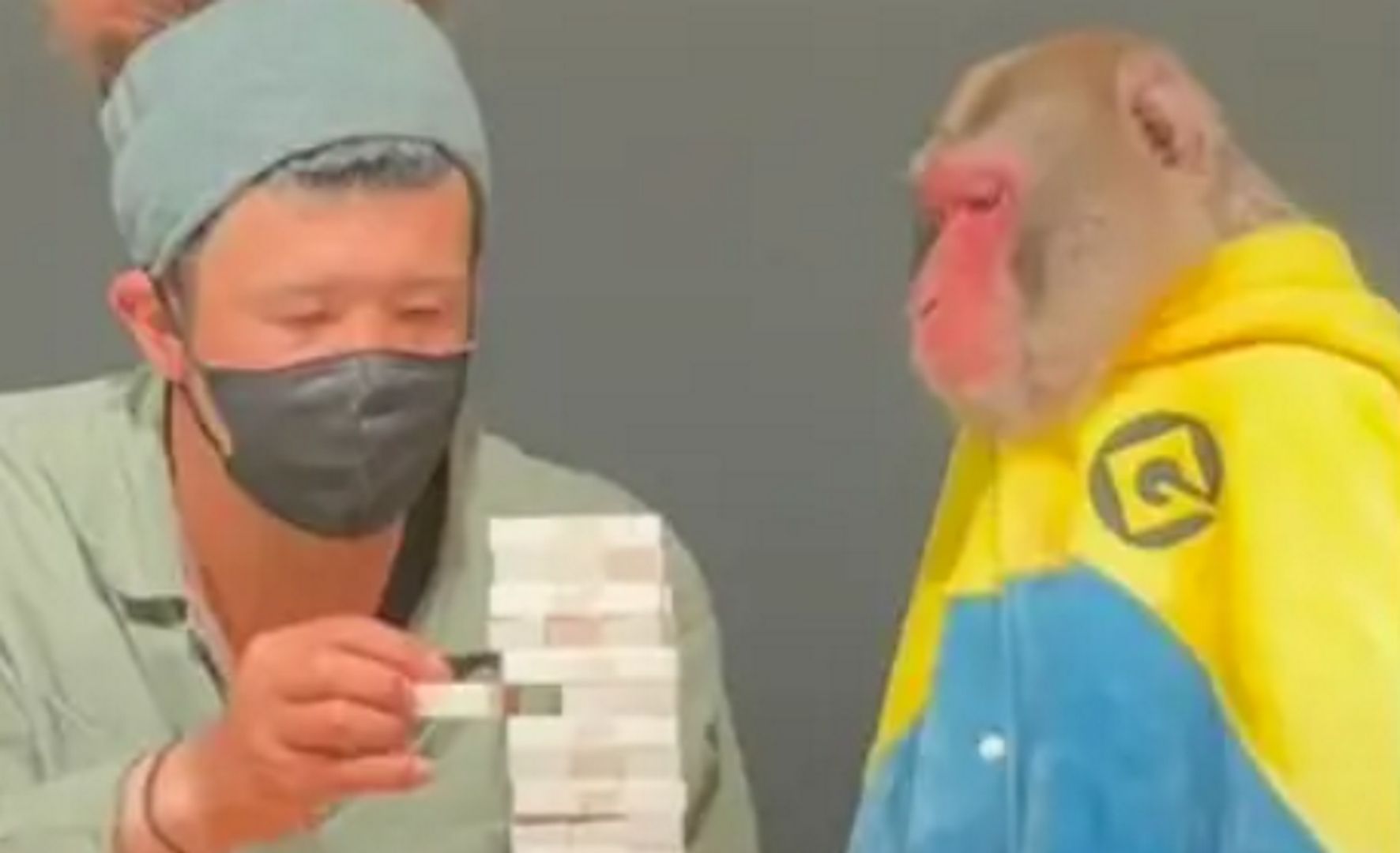 Tak gra się z małpą. To wideo jest absolutnym hitem sieci