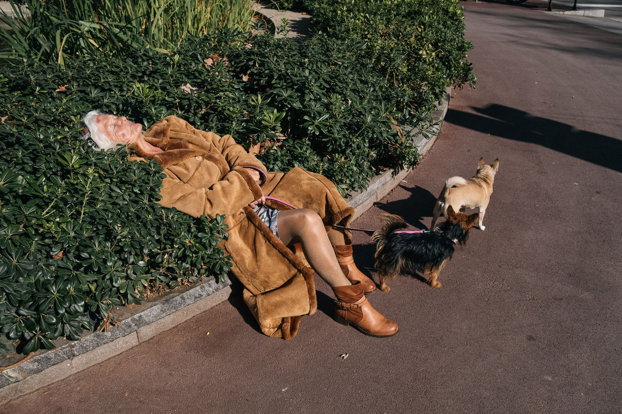 Uliczne rozmowy: Maciej Holy 2