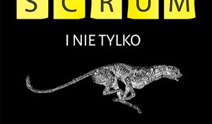 Scrum i nie tylko. Teoria i praktyka w metodach Agile