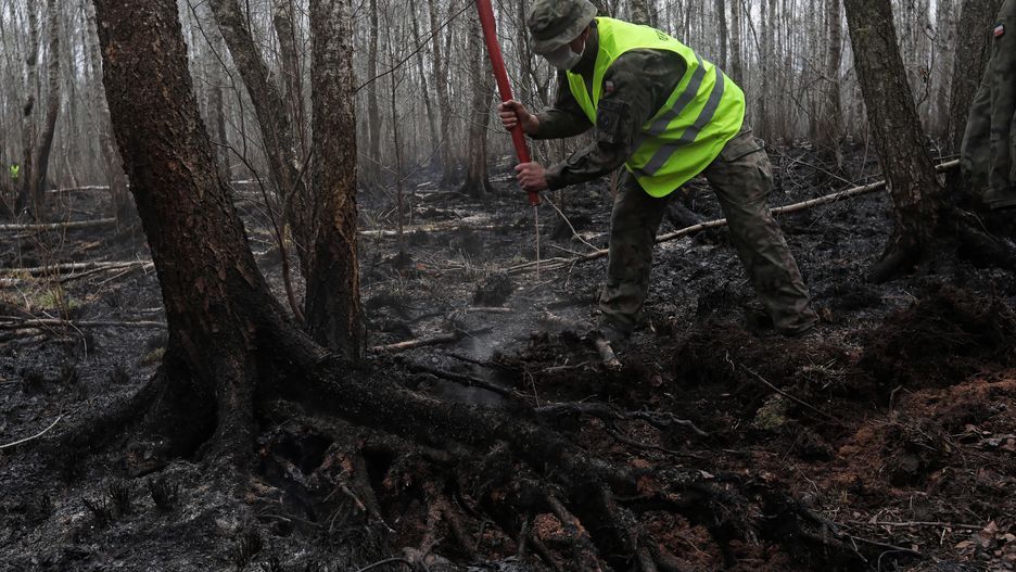 Biebrzański Park Narodowy. Pożar ugaszony, rusza śledztwo prokuratury.