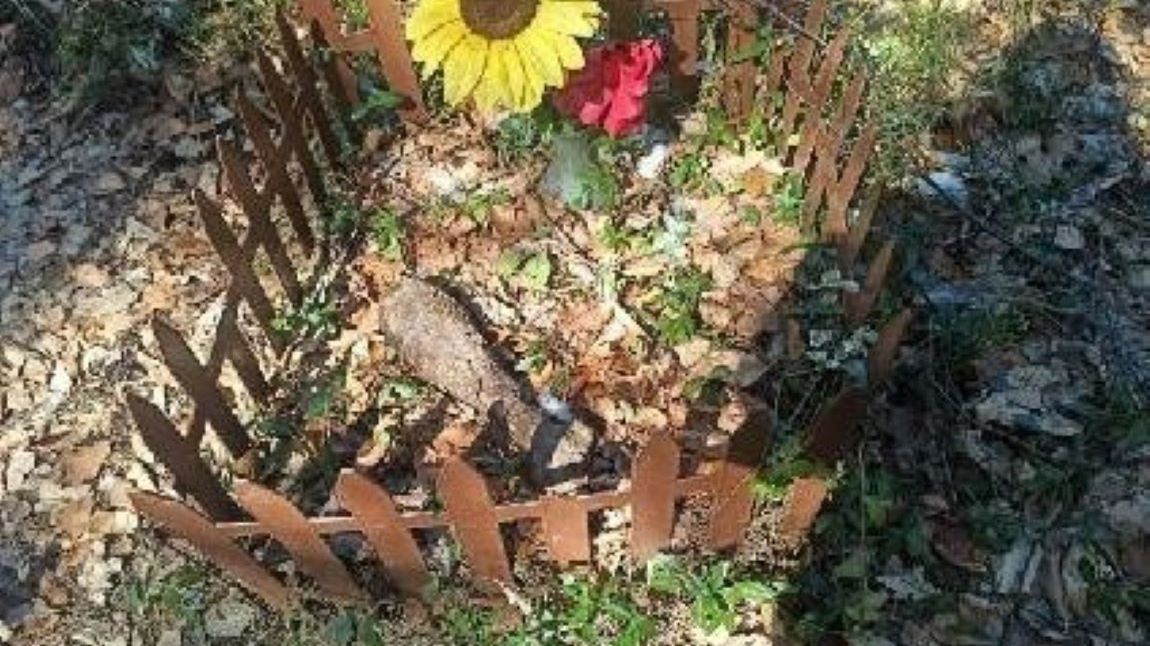 Niewybuch leżał w ogródku małej kapliczki 