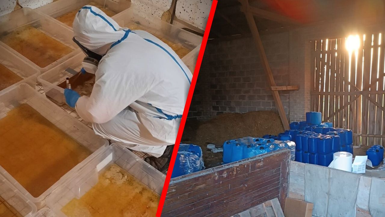 To trzymali na działce. Policja pokazała nagranie