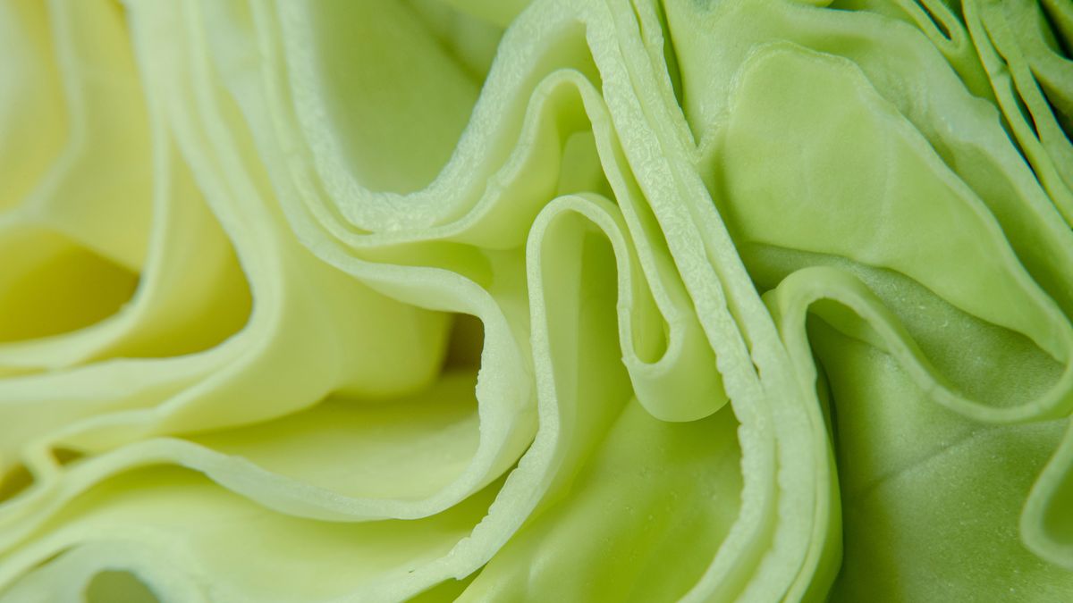 Kapusta i jej właściwości