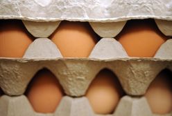 Nieświeże jaja. Sprawdź, co kupujesz