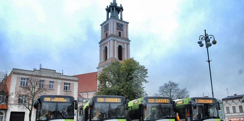 Na wybory bezpłatną komunikacją miejską