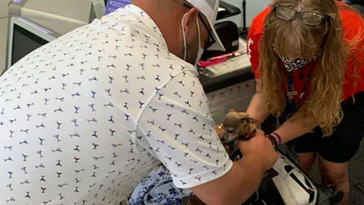 Jared i Kristi byli w szoku, gdy zobaczyli, co ukrywa się w bagażu