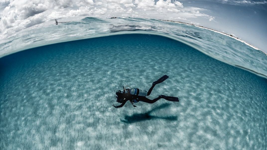 Kreatywne i ekspresyjne zdjęcia podwodne Lorenzo Mittiga 1