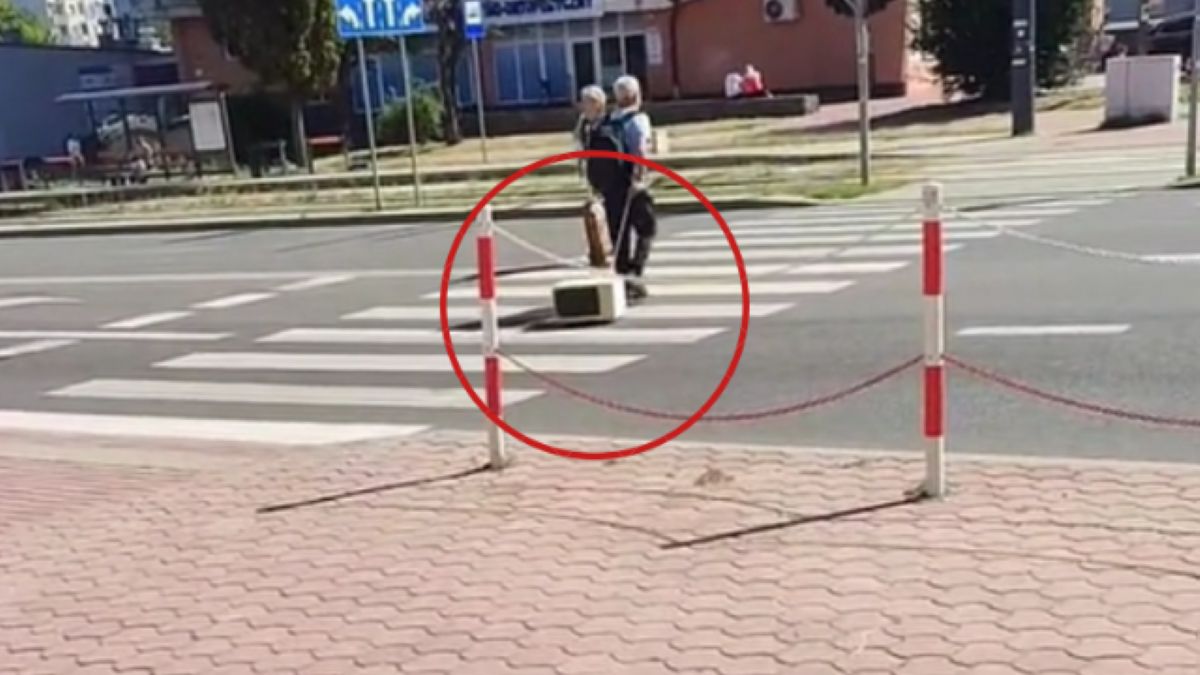 Wyprowadził na spacer mikrofalówkę. Nagranie stało się hitem.