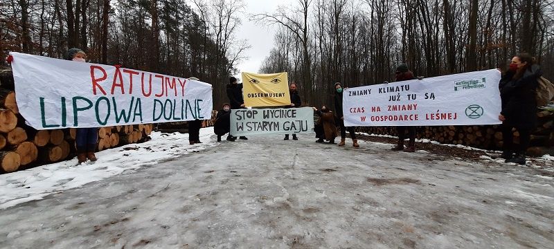 Aktywiści Extinction Rebellion Lublin (XR) domagają się zaprzestania wycinki drzew w Starym Gaju