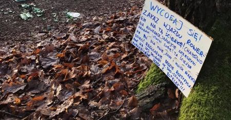 Pokazał zdjęcia z Lasu Młochowskiego. "Pierwszy raz w życiu widzę coś takiego"