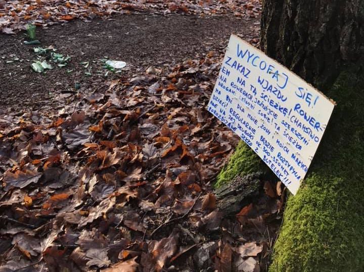 Pokazał zdjęcia z Lasu Młochowskiego. "Pierwszy raz w życiu widzę coś takiego"