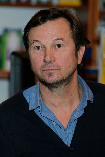 Obraz