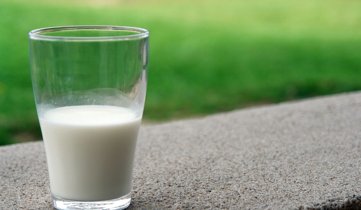 Chude mleko najlepiej gasi pragnienie. Naukowcy nie mają wątpliwości (Pexels)