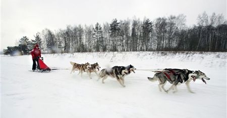 Śnieżny transport