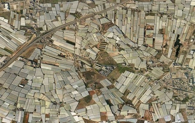 Almeria - tunele foliowe