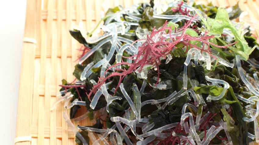 Suszony agar (wodorosty)