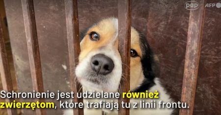 Trafiają tu z linii frontu. Poruszające kadry z Zaporoża