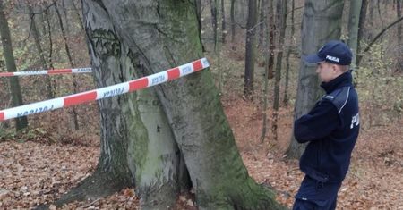 Wybrał się do lasu na spacer. Natychmiast wezwał służby