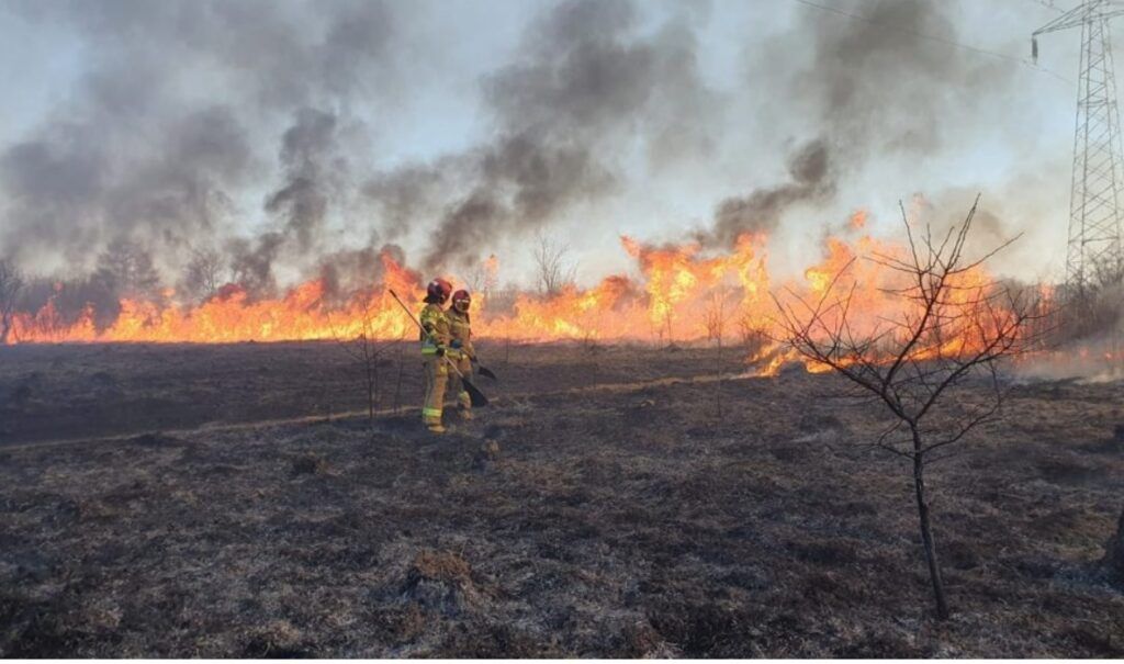 Uwaga rolnicy! Wypalanie traw może kosztować utratę dopłat
