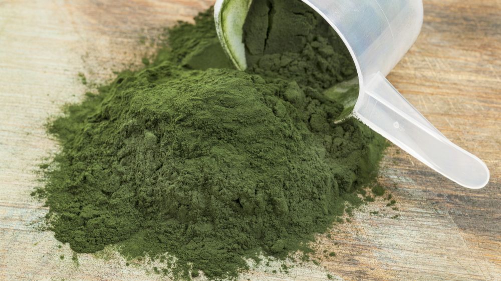 Suszona spirulina