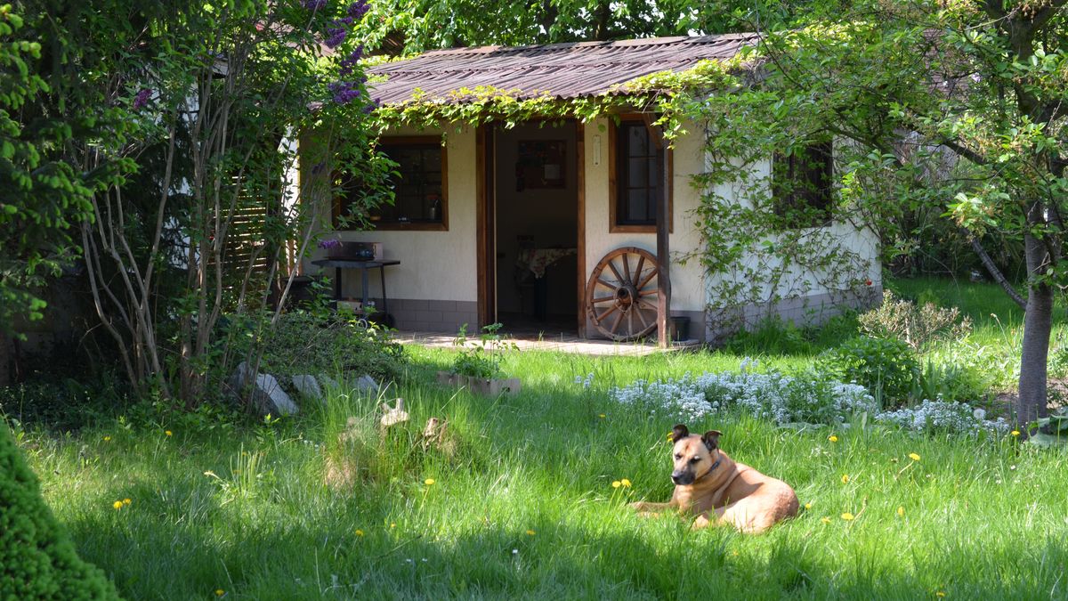 altana, ogródek, domek, chatka, sielanka, piesek, trawka, zielona, trawa, altanka, polska