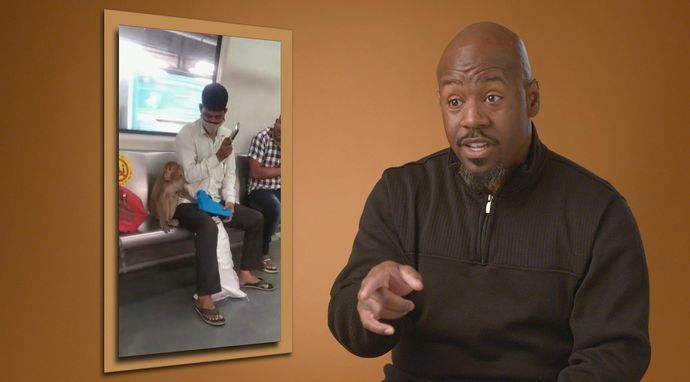 Oko w oko z dziką naturą