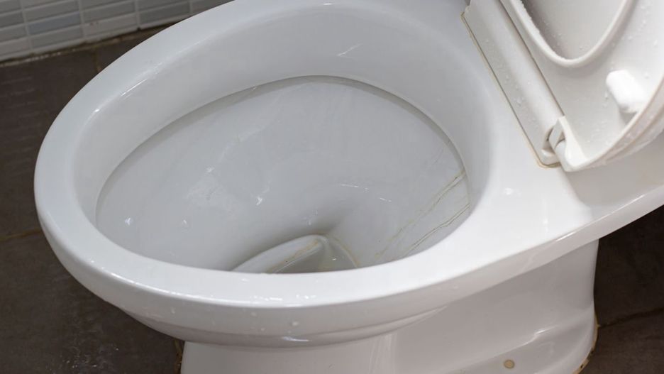 Jak wyczyścić toaletę domowym sposobem?