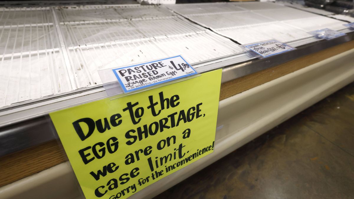 California Governor Newsom declares state of emergency in response to bird flu
epa11786570 A shelf at a grocery store, limiting customers to purchase only two cartons of eggs, is empty after selling out in Alameda, California, USA, 19 December 2024. California Governor Gavin Newsom has declared a state of emergency in response to the bird flu outbreak which has led to an egg shortage nationwide and a spike in prices.  EPA/JOHN G. MABANGLO 
Dostawca: PAP/EPA.
JOHN G. MABANGLO
bird flu, empty shelves, eggs
