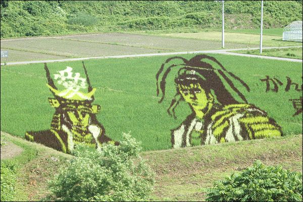 Fantastyczne obrazy stworzone… z ryżu 3