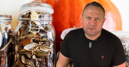 Strzelczyk tak przechowuje grzyby. Mają maksimum smaku