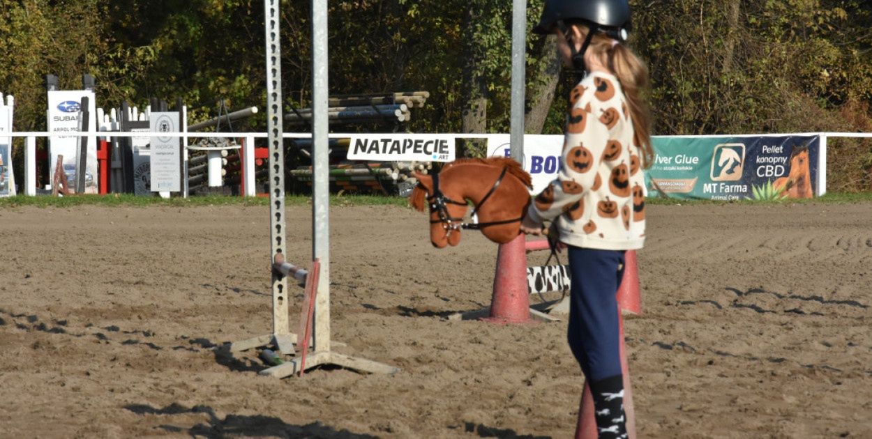 Czernikowo: Ujeżdżenie i pluszowe rumaki. Mistrzostwa hobby horse