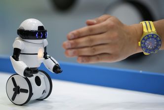 International Tokyo Toy Show 2014: serwujące roboty i psy