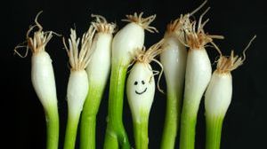 Prąd pachnący cebulą 1