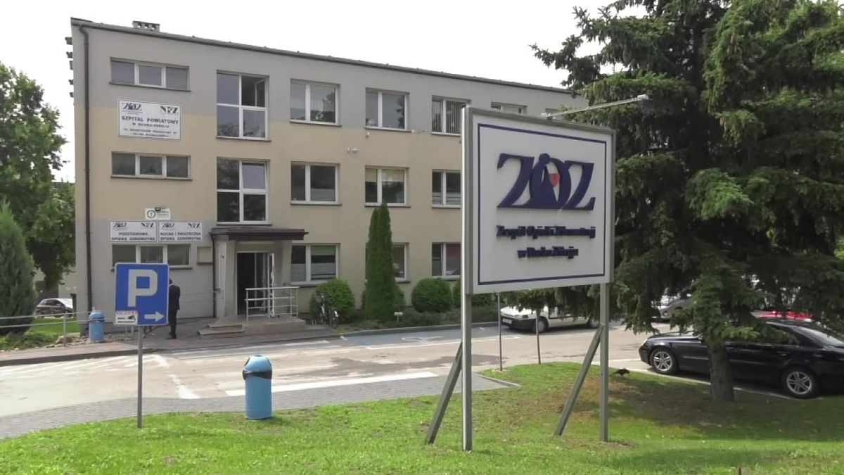 zdjęcie