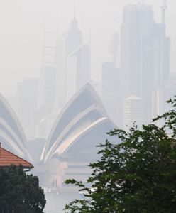 Sydney spowiła gęsta mgła. Przykryła niemal całe miasto