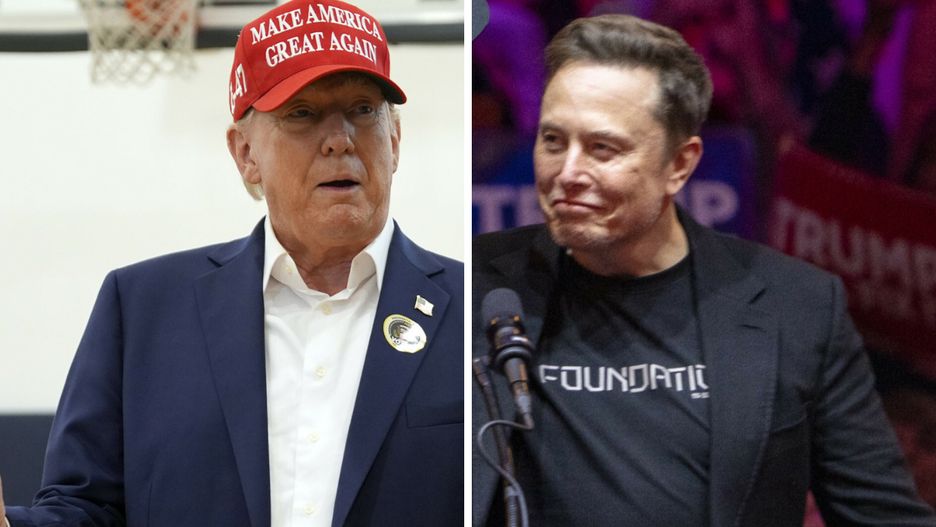 Donald Trump / Elon Musk