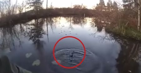 Byli pewni, że w jeziorze jest aligator. Prawda zaskoczyła wszystkich
