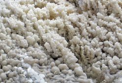 Sosnowiec. Będą nowe inwestycje. Mieszkańcy chcą m.in. tężni solankowej w Parku Sieleckim