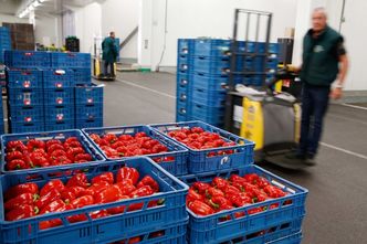 Na zastąpienie importu produktów trzeba 40-50 mld rubli rocznie