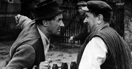 "Kogel-mogel" czy "Sami swoi". Dopasuj cytat do kultowego filmu